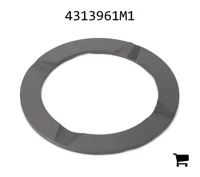 AGCO 4313961M1 Шайба