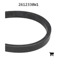 AGCO 2612330W1 Ремень привода вентилятора с регулируемой скоростью, 102,5"