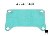 AGCO 4224534M1 Шарнир