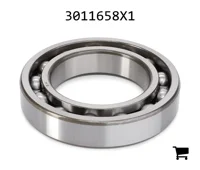 AGCO 3011658X1 Подшипник вала отбора мощности