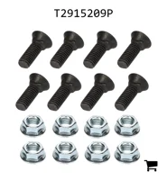 AGCO T2915209P Комплект