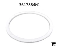 AGCO 3617884M1 Сегмент