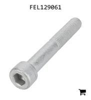 AGCO FEL129061 Винт