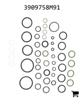 AGCO 3909758M91 Комплект уплотнений
