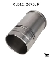 AGCO 0.B12.2675.0 Цилиндр