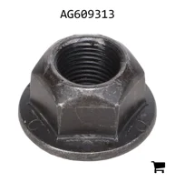 AGCO AG609313 Шестигранная гайка с фланцем
