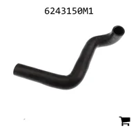 AGCO 6243150M1 Патрубок радиатора