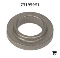 AGCO 731959M1 Шайба