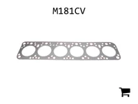 AGCO M181CV Прокладка