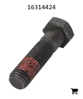 AGCO 16314424 Винт