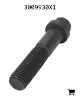 AGCO 3009930X1 Винт с 12-гранной фланцевой головкой