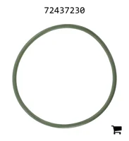 AGCO 72437230 Уплотнительное кольцо топливного фильтра