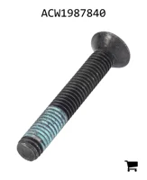 AGCO ACW1987840 Болт с потайной головкой и шестигранным углублением