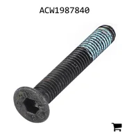 AGCO ACW1987840 Болт с потайной головкой и шестигранным углублением