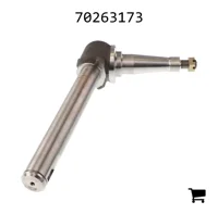 AGCO 70263173 Шпиндель