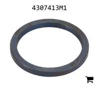 AGCO 4307413M1 Проставочная втулка