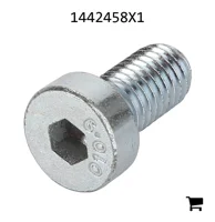 AGCO 1442458X1 Винт с цилиндрической головкой и шестигранным углублением