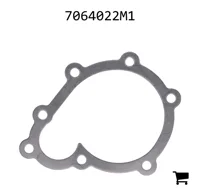 AGCO 7064022M1 Прокладка водяного насоса