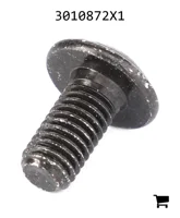 AGCO 3010872X1 Винт с полукруглой головкой