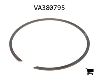 AGCO VA380795 Кольцо