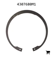 AGCO 4307680M1 Сегмент