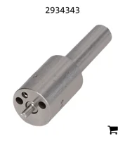 AGCO 2934343 Форсунка