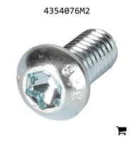 AGCO 4354076M2 Винт