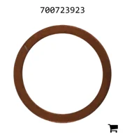 AGCO 700723923 Шайба