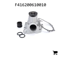 AGCO F416200610010 Водяной насос