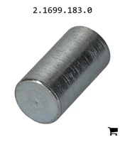 AGCO 2.1699.183.0 Палец