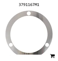 AGCO 3791167M1 Шайба
