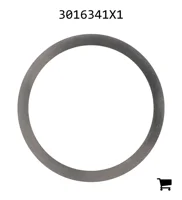 AGCO 3016341X1 Регулировочная шайба