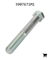 AGCO 3907671M1 Винт