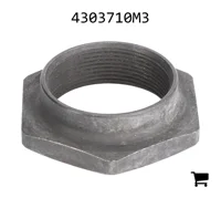 AGCO 4303710M3 Специальная гайка