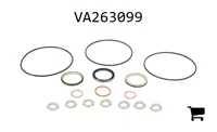 AGCO VA263099 Комплект сальников клапана