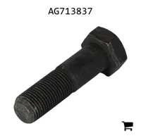 AGCO AG713837 Комплект болтов
