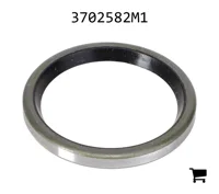 AGCO 3702582M1 Уплотнение