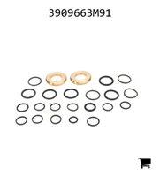 AGCO 3909663M91 Комплект уплотнений