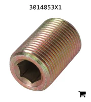 AGCO 3014853X1 Установочный винт с шестигранной головкой