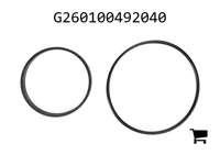 AGCO G260100492040 Ремкомплект