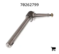 AGCO 70262799 Шпиндель