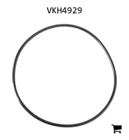 AGCO VKH4929 Уплотнительное кольцо