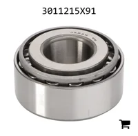 AGCO 3011215X91 Конический роликовый подшипник трансмиссии AGCO