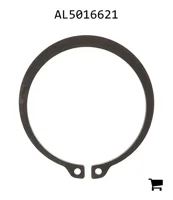 AGCO AL5016621 Кольцо