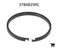 AGCO 3784825M1 Сегмент