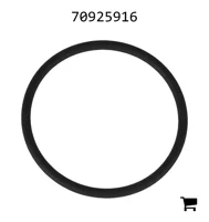 AGCO 70925916 Уплотнительное кольцо