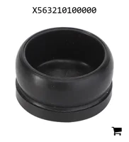 AGCO X563210100000 Заглушка