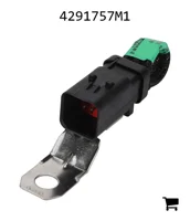 AGCO 4291757M1 Жгут