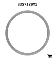 AGCO 3387180M1 Регулировочная шайба