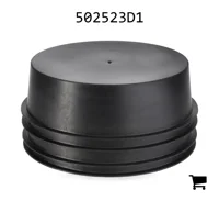 AGCO 502523D1 Заглушка